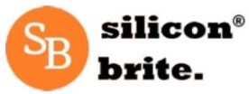 silliconbrite1